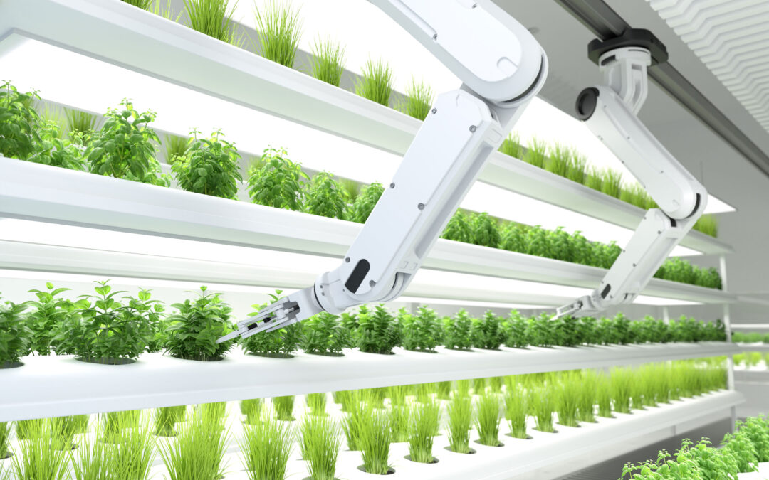 Il settore agricolo tra sostenibilità, tecnologia ed innovazione